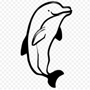 Free SVG Animal Dolphin Outline