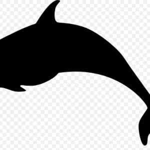Free SVG Animal Dolphin Sea