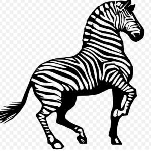 Free SVG Animal Safari Zebra Striped