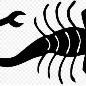 Free SVG Animal Scorpion Tail
