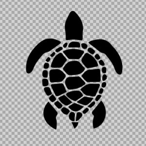 Free Svg File Turtle, Sea, Beach Clipart Image