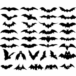 Bat Bundle SVG Free