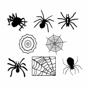 Spider Silhouette SVG Free