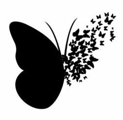 Butterfly Free SVG
